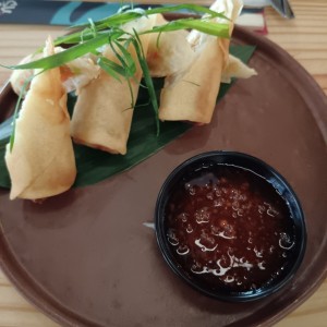 Entradas - Spring Rolls