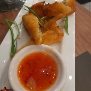 Entradas - Spring Rolls