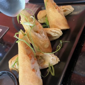 Entradas - Spring Rolls