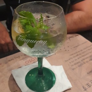 Gin Tonic Delicioso!