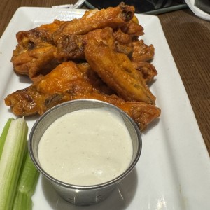 Appetizers - WINGS