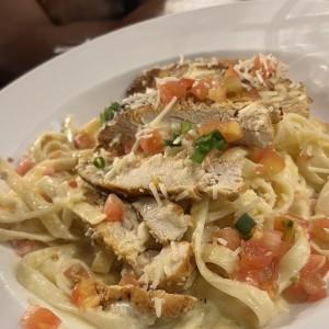 Chicken alfredo