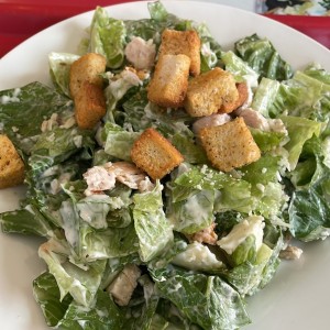 Caesar, Cesar Salad con pollo y huevo adicional 