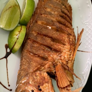 Mar - Pargo frito