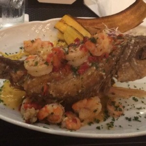 Pargo relleno