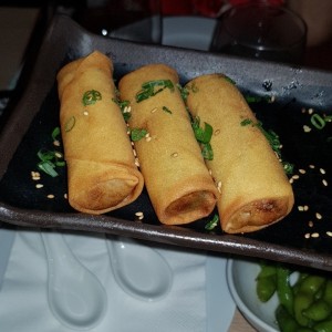 Spring Roll