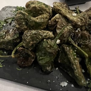 Pimientos del padron  