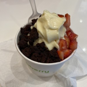 Frozen Yogurt con Toppings