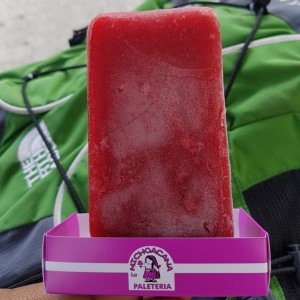 paleta de frambuesa 