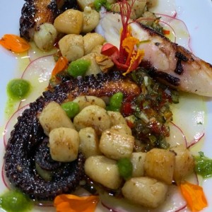 Pulpo y vieiras a la provenzal