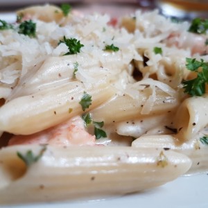 Alfredo con Camarones.