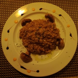 Risotto al Funghi Porccini