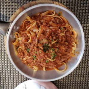 Bolognesa