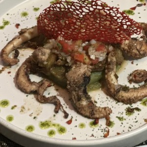 Pulpo 