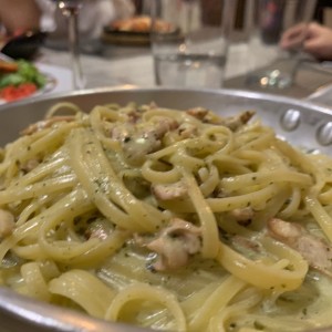 pasta al oleo con pollo