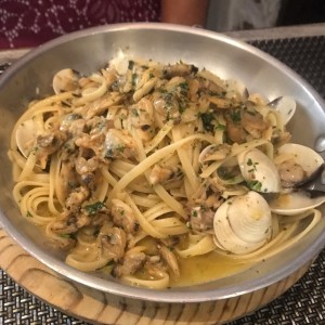 Ale Vongole Importado