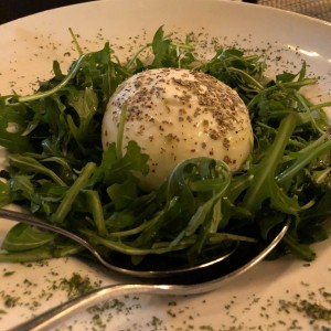 burrata