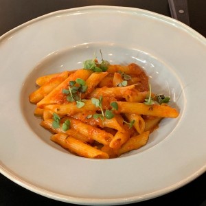 Penne en Salsa de Tomate