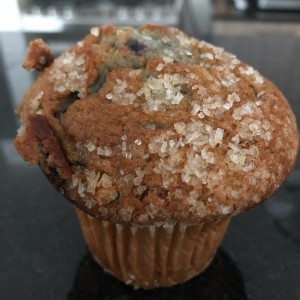 Blueberry Muffin