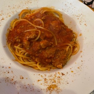 Bolognesa