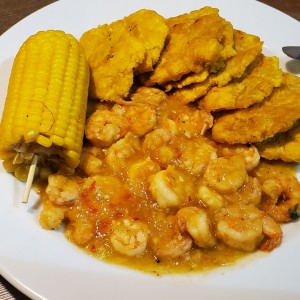 Camarones/Shrimps