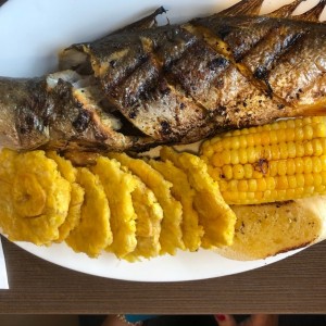 corvina a la parrilla de 13 oz