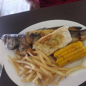 Corvina entera a la plancha