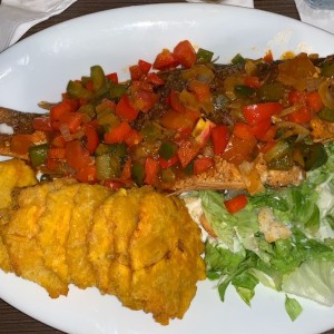 Pargo Rojo Frito con Salsa Criolla