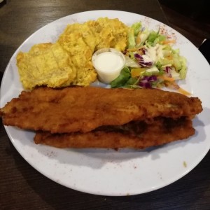 Corvina apanadas 