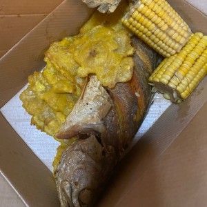 Corvina Entera Frita o en Salsa Criolla