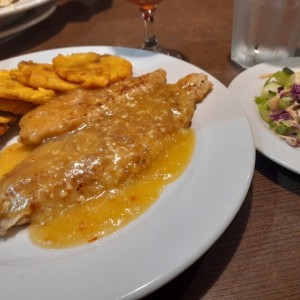 Filete de corvina al ajillo