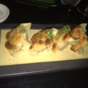 Crispy Chicken Dumplings