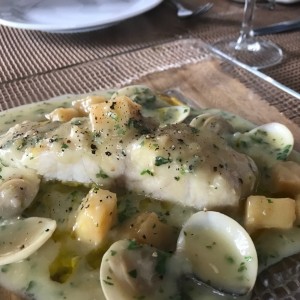 Corvina con salva verde con almejas