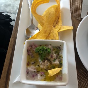 ceviche panamena