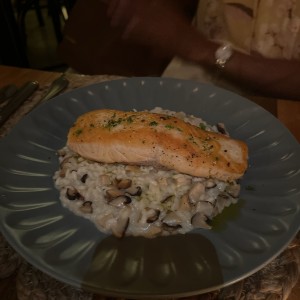 Salmon en risoto de Hongos 