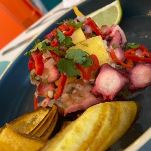 Ceviche bien supiscucu!