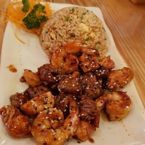 tepanyaki mixto