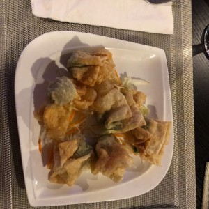 Wanton de vegetales fritos