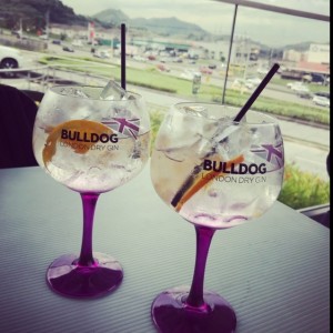 Bulldog Gin Tonic 