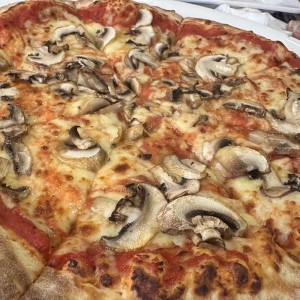 Funghi