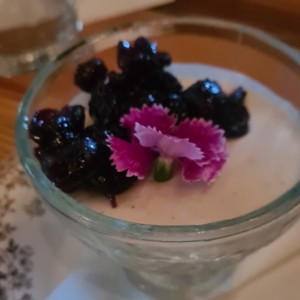 panacotta