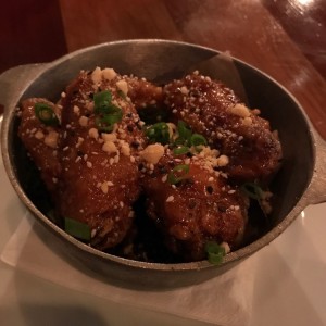 ALITAS - Kim Jong Wings