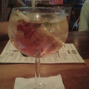 Cocteles - Gin & Tonic Republicano