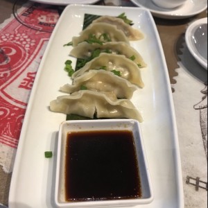 Gyozas mixtas