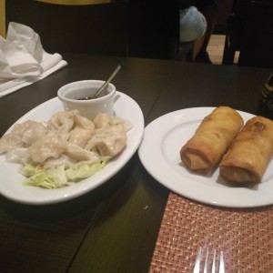 wanton al vapor y lumpias (rollos)