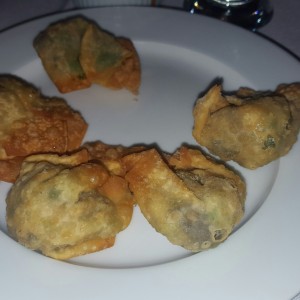 Wanton frito relleno de vegetales