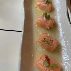 salmon crudo