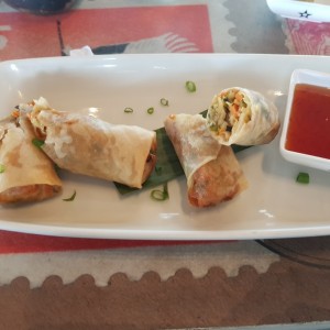 Spring roll de vegetales