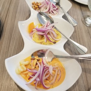 CEVICHES - Tres volcanes mixto