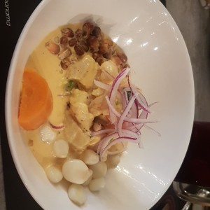 ceviche fiebre amarilla 